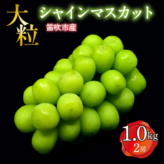 【2026年発送★先行予約】笛吹市産 大粒シャインマスカット 1.0kg以上(2房) 227-001