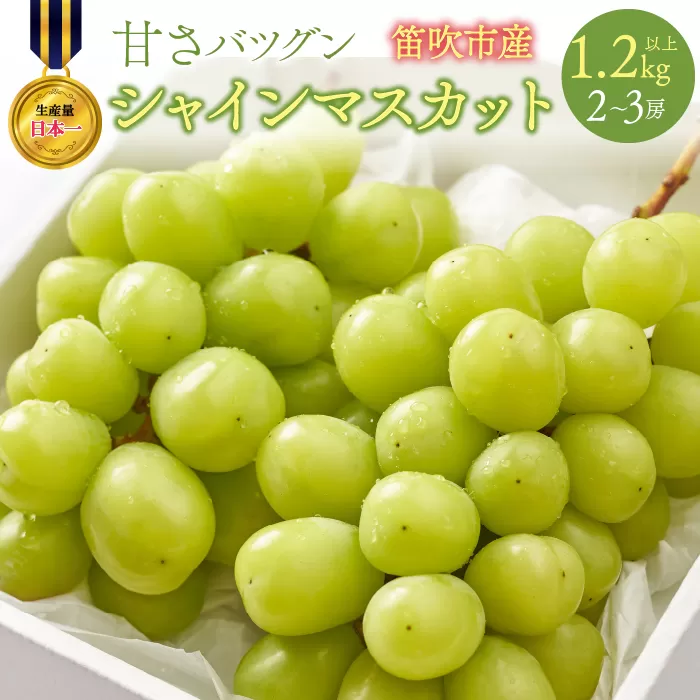 【2026年発送★先行予約】甘さ抜群プリプリ　シャインマスカット　2～3房　1.2kg以上 168-001-26y
