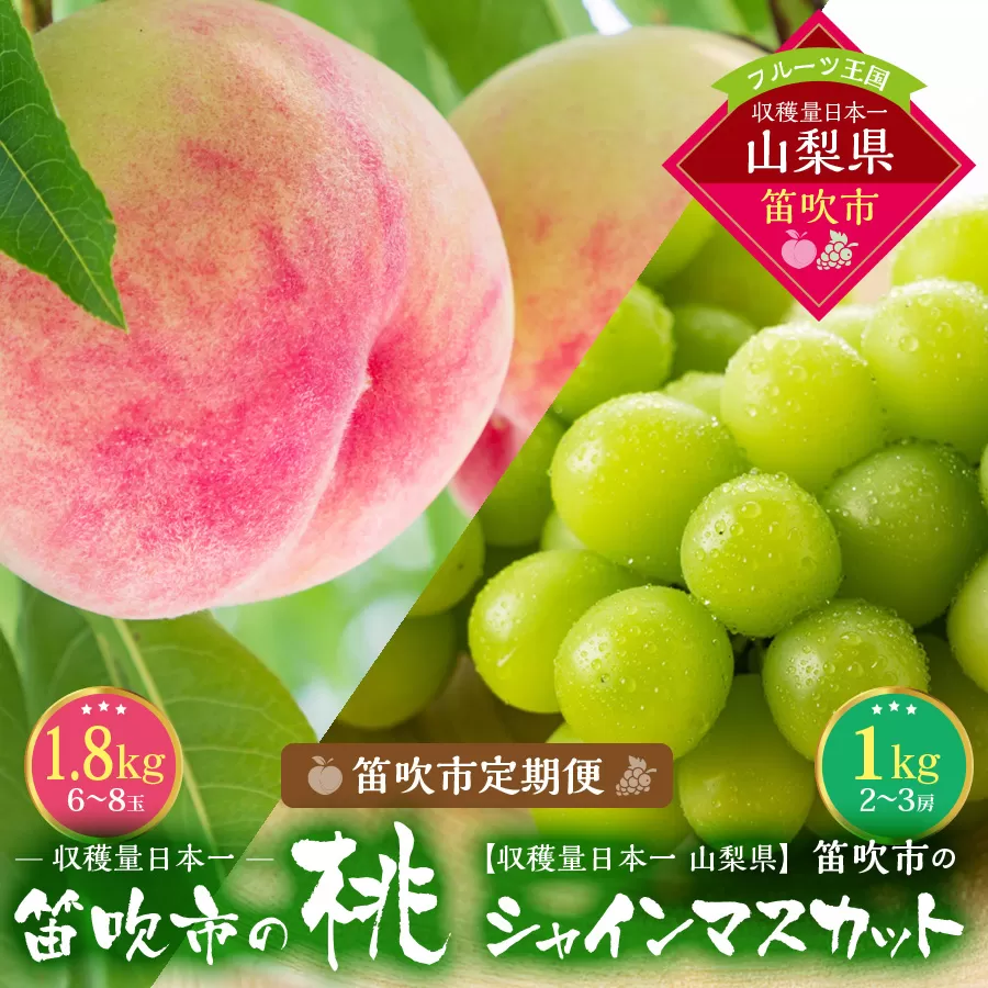 【2026年発送★先行予約】『山梨夏の味覚定期便』笛吹市産旬の桃とシャインマスカット各１回 167-014