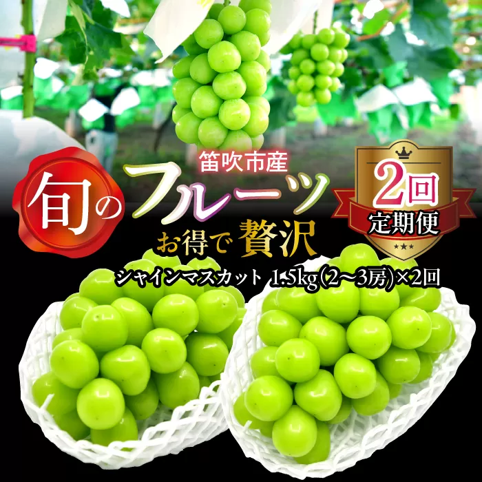 【定期便】【2026年発送★先行予約】お得で贅沢2回定期便シャインマスカット1.5kg 227-017-01-26y