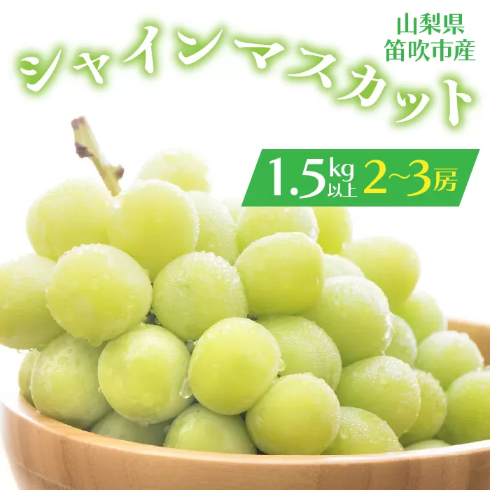 ＜25年発送先行予約＞シャインマスカット 2-3房入り 1.5kg以上 1箱　164-005