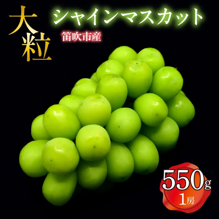 【2026年発送★先行予約】 笛吹市産 大粒シャインマスカット 550g以上(1房)  227-022-26y