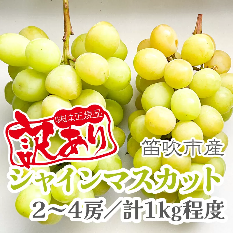 【2026年発送★先行予約】【訳あり品】山梨県産シャインマスカット2房～4房(合計1kg程度)　229-009-26y