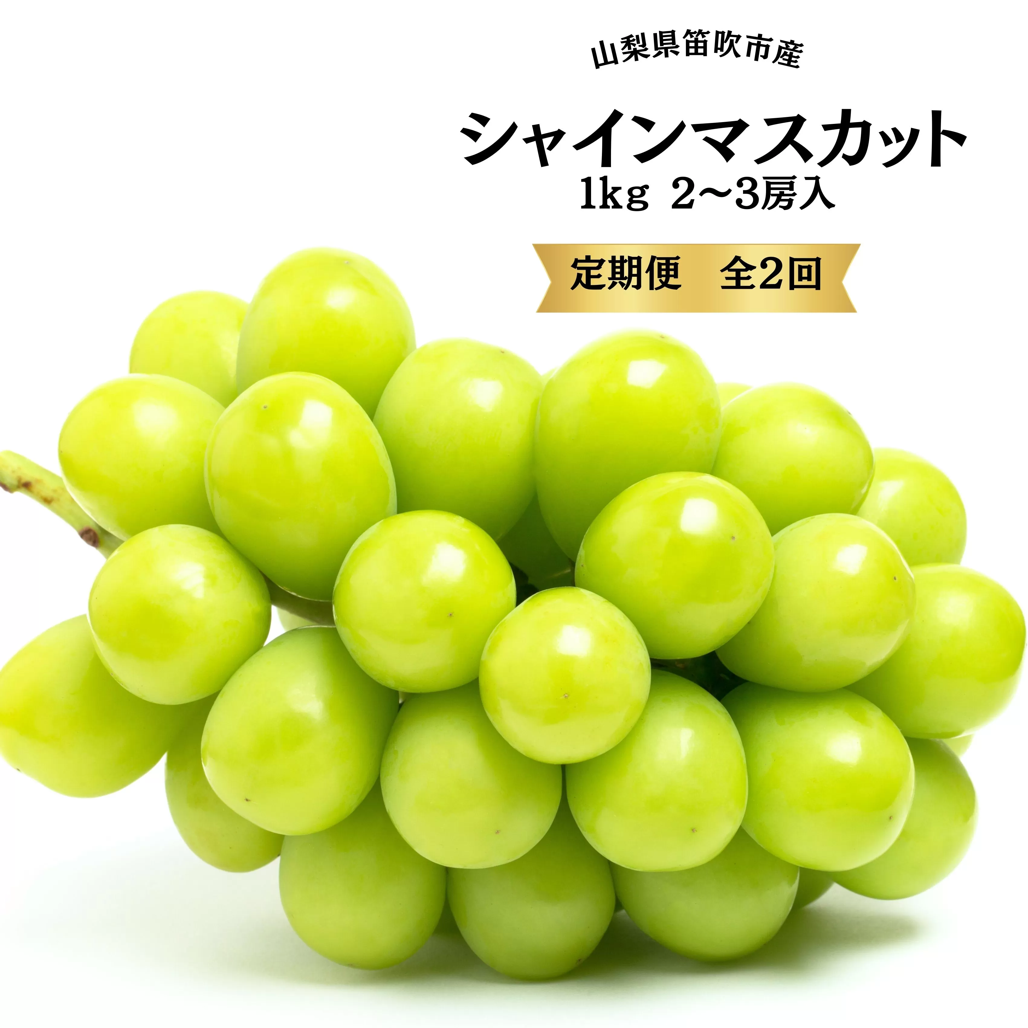 【2026年発送★先行予約】葡萄の一大産地！笛吹市産シャインマスカット定期便×２回 167-015 ※沖縄・離島配送不可