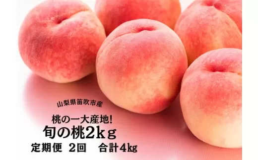 ＜2025年発送先行予約＞笛吹市産旬の桃満喫コース2kg×2回発送 167-009