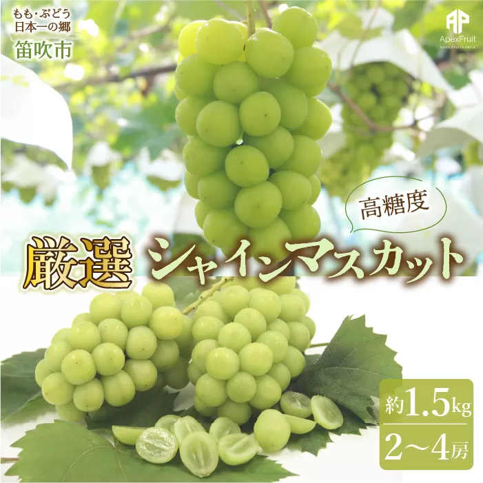 ＜25年発送先行予約＞笛吹市産　シャインマスカット　約1.5kg（2〜4房） 205-007