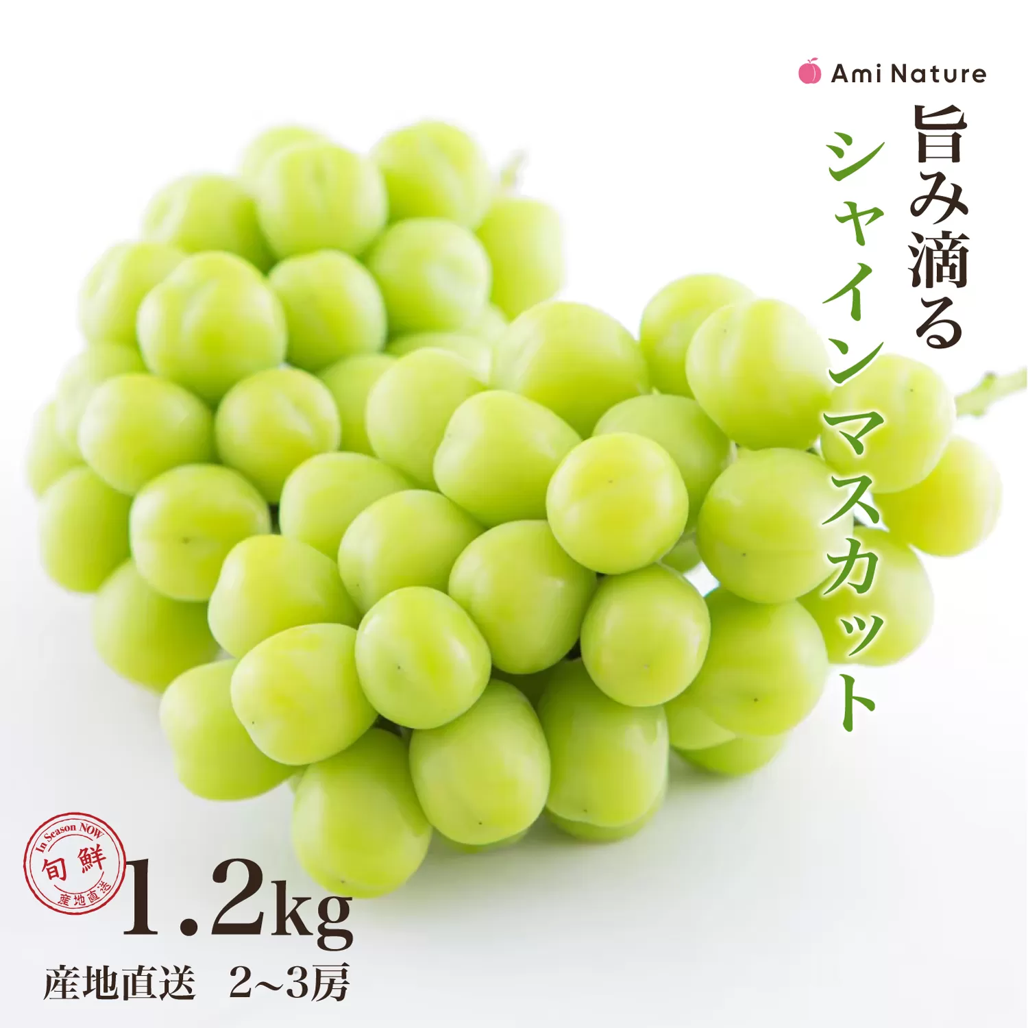 【2026年発送★先行予約】さわやかに滴るシャインマスカット 約1.2kg以上 065-023-26y