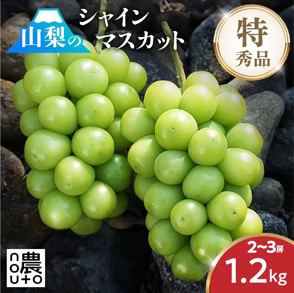 【2026年発送★先行予約】シャインマスカット 約1.2kg 2〜3房 ※クール便　154-007
