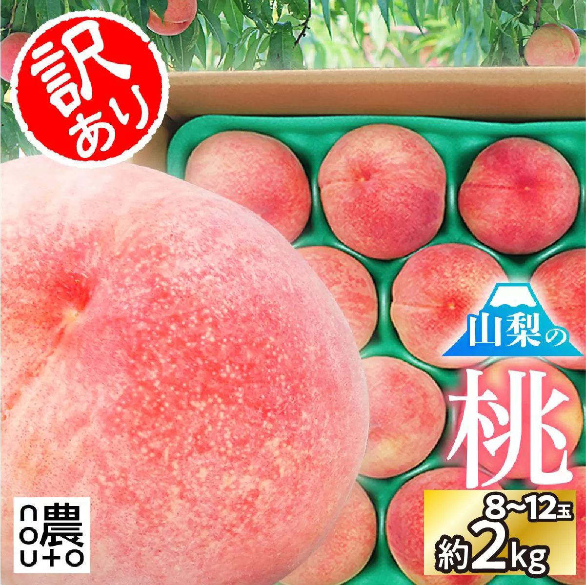 【2026年発送★先行予約】日本一の生産量 山梨県産 桃 訳あり 不揃い 大容量 8玉～12玉 約2kg 154-031
