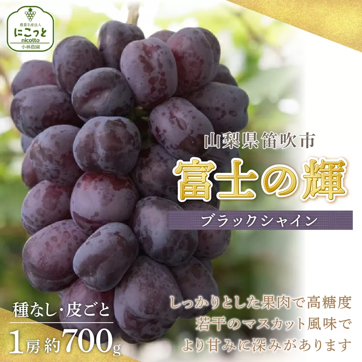 ＜25年発送先行予約＞富士の輝1房約700g　 097-009