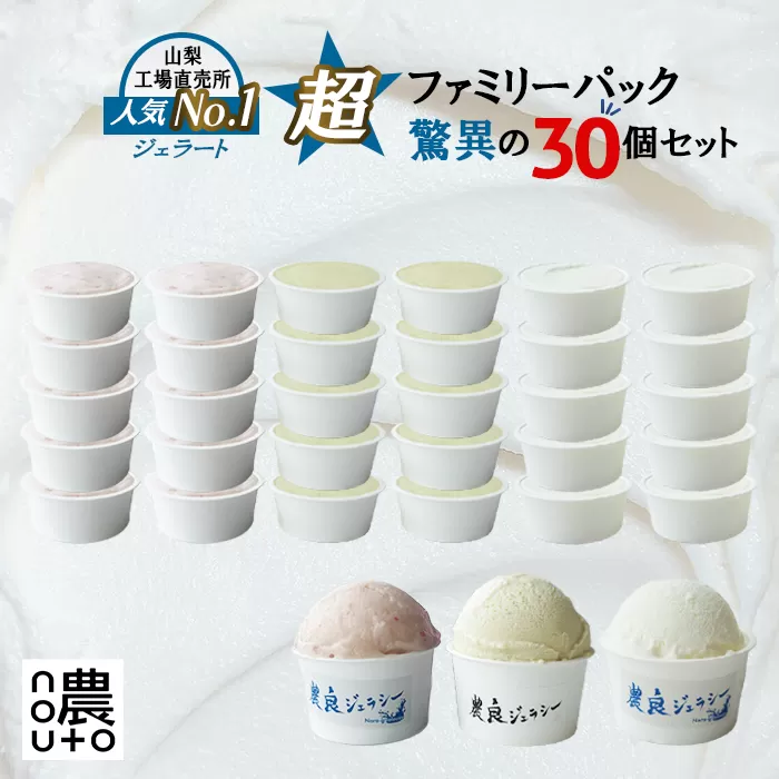 【ふるさと納税】驚異のジェラート30個セット！山梨県産フルーツ・ミルク・季節のおまかせフレーバー nouto工場直売所の人気No.1スイーツ ファミリーパック ご当地アイス・大容量冷凍発送 山梨県笛吹市 154-052　★2025年7月中旬からの発送