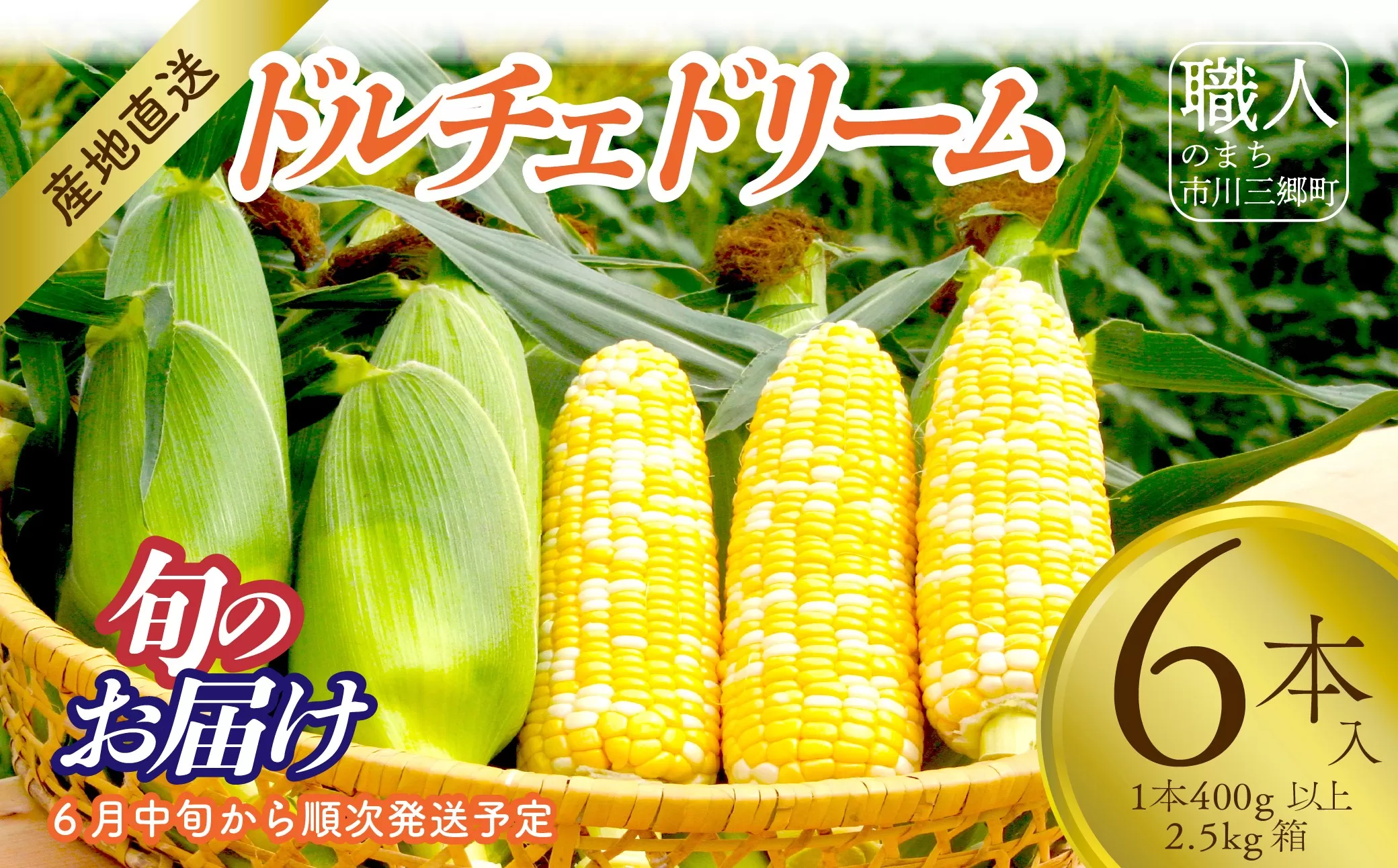 【2026年6月中旬から発送】とうもろこし「ドルチェドリーム」6本入り 1本400g以上 2.5kg箱 株式会社アグリ甲斐（山梨県市川三郷町産）[5839-2214]