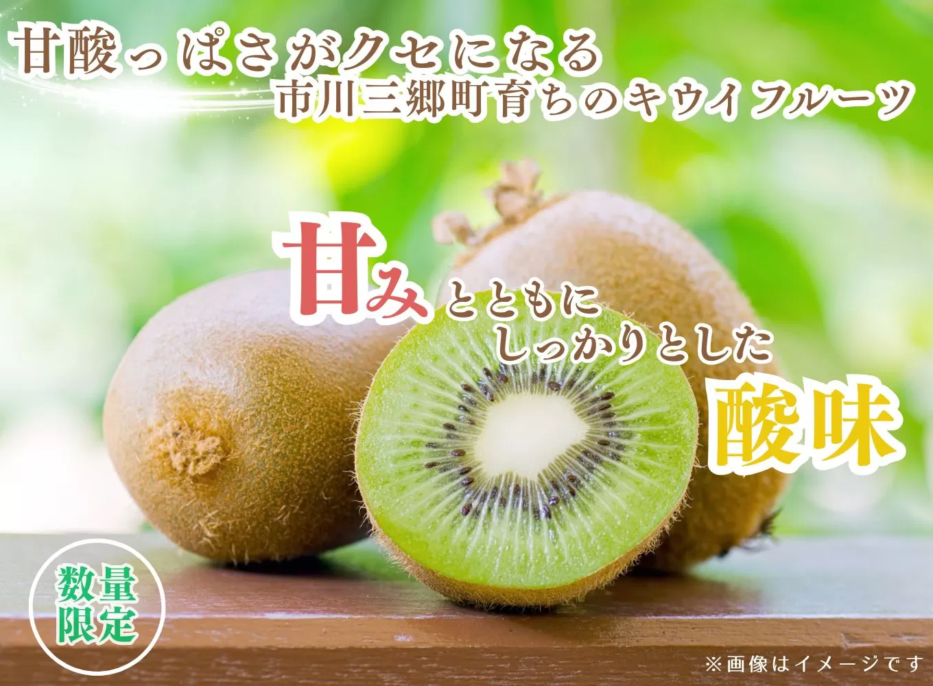 山梨県産　キウイフルーツ（ヘイワード）　キウイ　約2キロ（20～24玉）秋山農園[5839-1606]