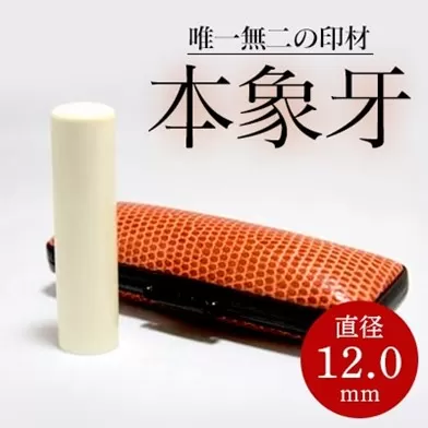 高級本象牙印鑑　12.0㎜×60.0㎜　はんこ ハンコ 実印 銀行印 認印 ケース付 オーダー ギフト プレゼント 贈答