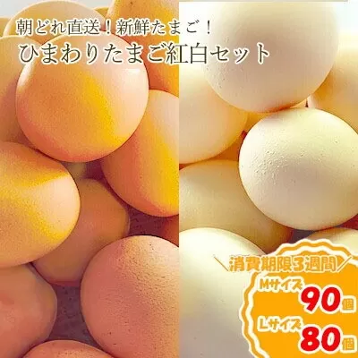 B1809ひまわりたまご紅白セット（２段）※破卵補償10個含 卵 鶏卵 玉子