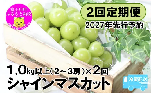 【2027年発送分 先行予約】【２回定期便】頬張る幸福感 〜緑の宝石・シャインマスカット〜 計２kg（1.0kg以上・2〜3房を２回[9月上旬・下旬]お届け）※冷蔵発送※　シャイン シャインマスカット ぶどう 葡萄 ブドウ 定期便 ２回 果物 くだもの フルーツ 山梨 やまなし 富士川町 シャインだけ シャインマスカットだけ