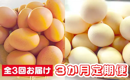 【3か月定期便】ひまわりたまご紅白セット 月1回(全3回)3か月セット ※破卵補償 卵 鶏卵 玉子 大容量 お試し おためし