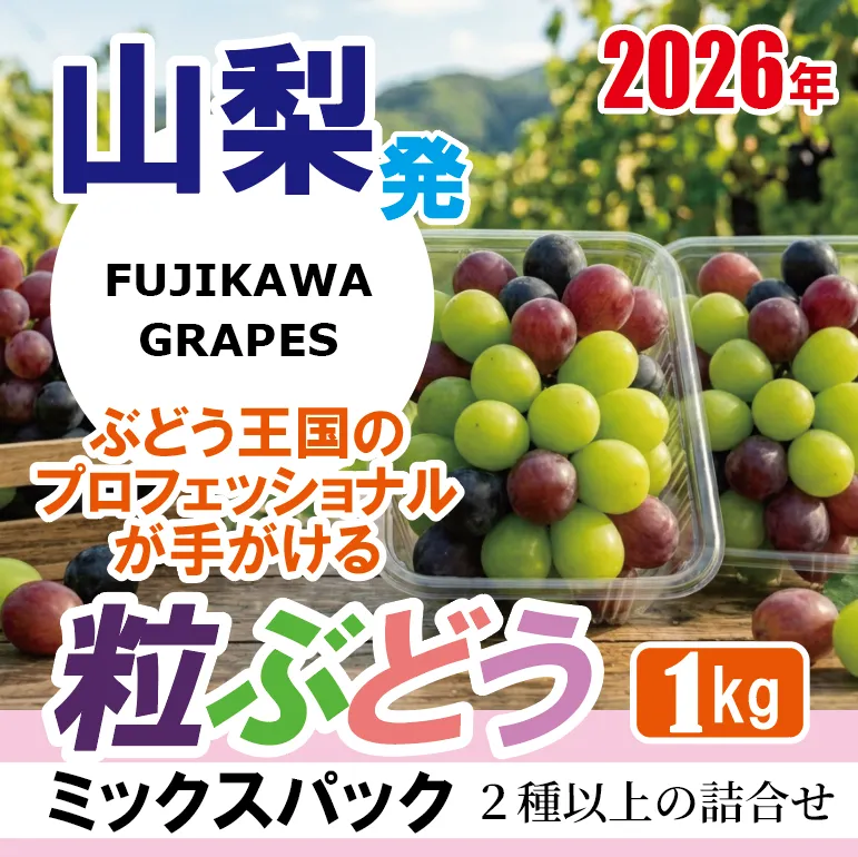 手軽に楽しむ《徳用・粒ぶどう》 【ミックス（２種以上）】 1.0kg（パック包装） 【2026年発送分 先行予約】- FUJIKAWA GRAPES -