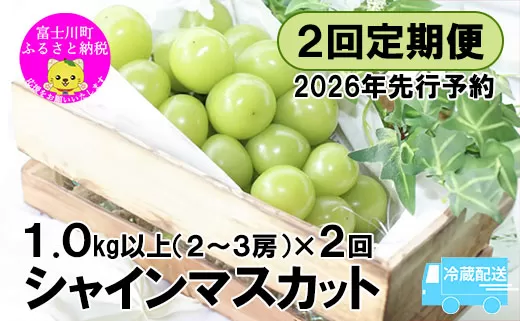 【2026年先行予約】【２回定期便】頬張る幸福感 ～緑の宝石・シャインマスカット～ 計２kg（1.0kg以上・2～3房を２回[9月上旬・下旬]お届け）※冷蔵発送※　シャイン シャインマスカット ぶどう 葡萄 ブドウ 定期便 ２回 果物 くだもの フルーツ 山梨 やまなし 富士川町 シャインだけ シャインマスカットだけ