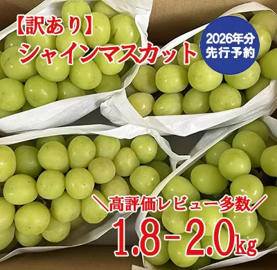 【2026年発送分 先行予約】\高評価多数/【訳あり】シャインマスカット 1.8kg~2kg (3~6房) 【8月下旬以降発送予定】 訳アリ 訳あり品 シャイン マスカット ぶどう ブドウ 葡萄 徳用 家庭用 ご家庭用 旬 新鮮 約2kg 約1.8kg 約1.9kg くだもの 果物 フルーツ 山梨 やまなし 富士川町