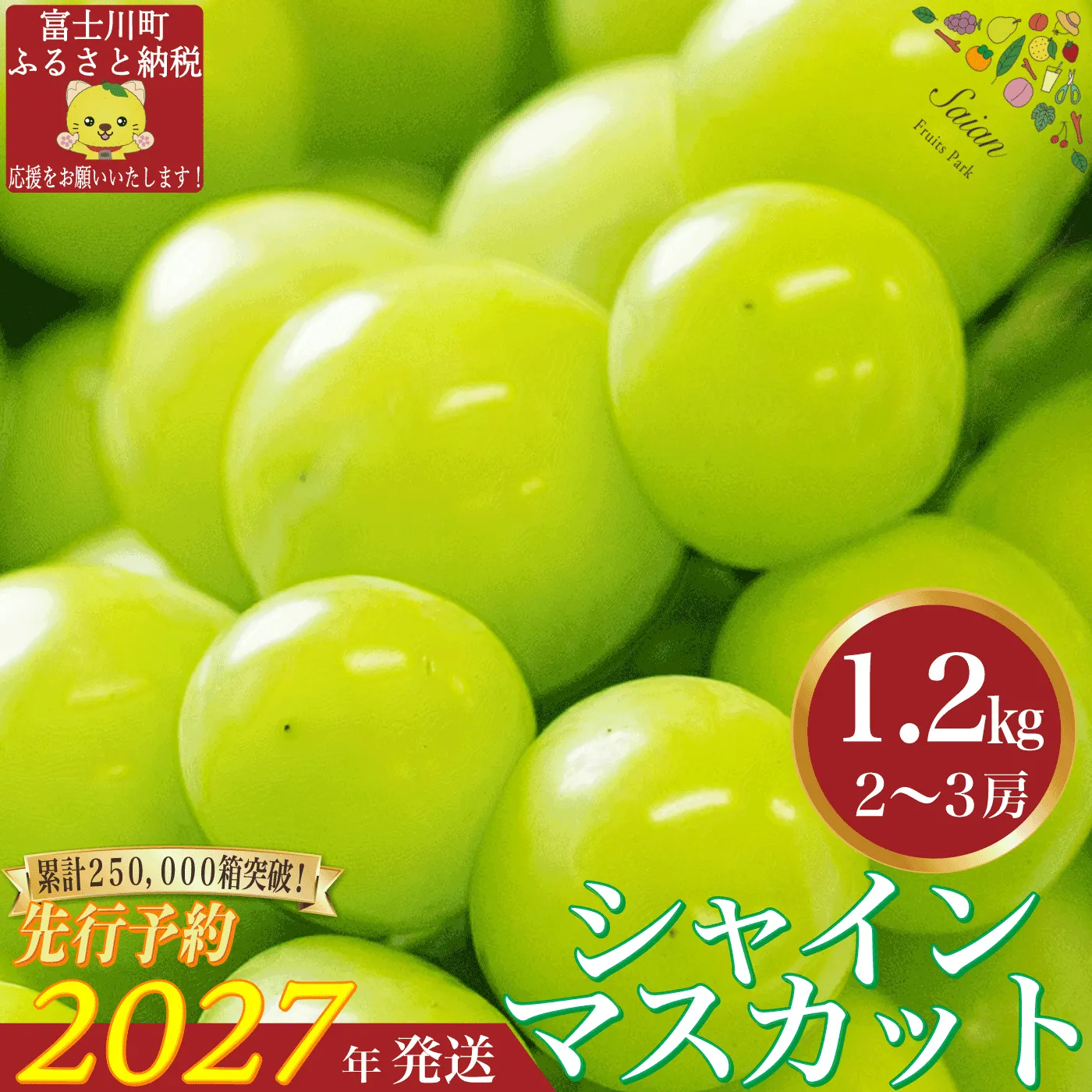 【2027年発送分 先行予約】 シャインマスカット 1.2kg(2〜3房) 8月中旬以降発送予定 フルーツ 山梨県産 果物 シャイン マスカット ぶどう ブドウ 大粒 種なし 産地直送 富士川町 先行予約(A5302)