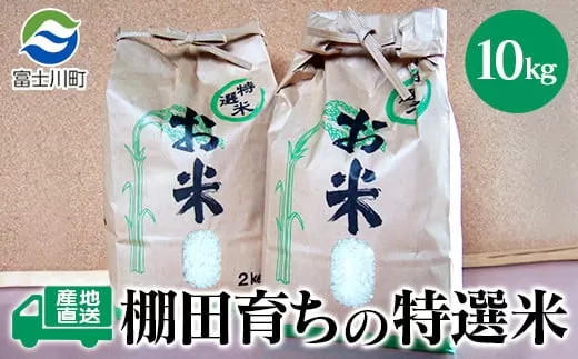 ★令和6年度産★特選米10kg　天日干し 精米済 山梨県富士川町産 棚田米 お米 こしひかり コシヒカリ 平林