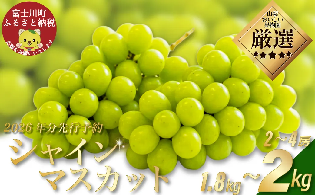 【贈答用】【2026年発送分 先行予約】 山梨おいしい果物園のシャインマスカット 1.8kg-2.0kg (2~4房)　産地直送 フルーツ シャイン マスカット ブドウ ぶどう 山梨 やまなし 富士川町