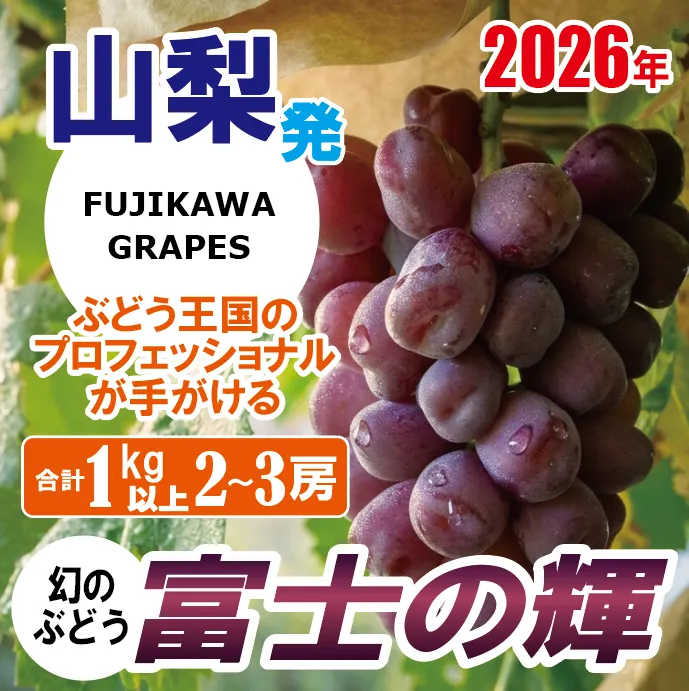 《超希少品種！》上級品をお得に　【富士の輝】　1.0kg以上（2～3房）　 【2026年発送分 先行予約】- FUJIKAWA GRAPES