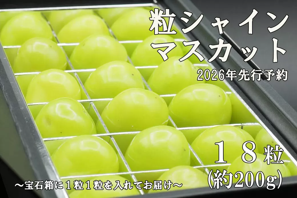 【令和８年度先行予約】《厳選・宝石箱》シャインマスカットひと口BOX(18粒入り・約200g)　シャイン マスカット ぶどう 葡萄 ブドウ 房なし 粒シャイン 粒のみ 粒だけ くだもの 果物 フルーツ 山梨 やまなし 富士川町