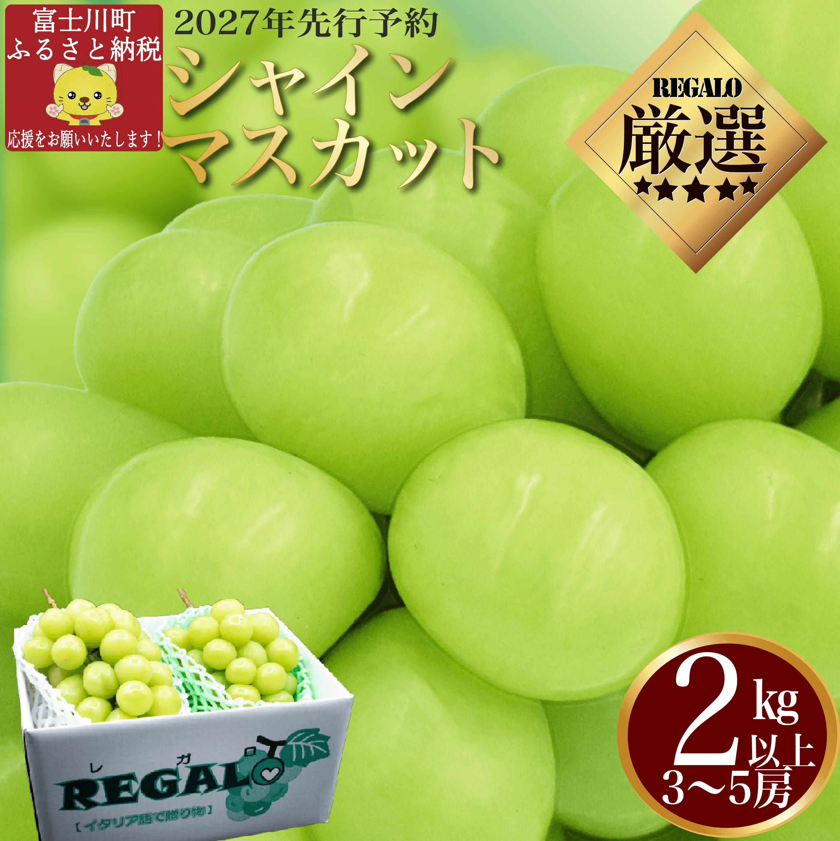 【2027年発送分 先行予約】頬張る幸福感　〜緑の宝石・シャインマスカット〜　２ｋｇ以上（３〜５房） フルーツ 山梨県産 果物 シャイン マスカット ぶどう ブドウ 大粒 種なし 種無し 先行予約 富士川町