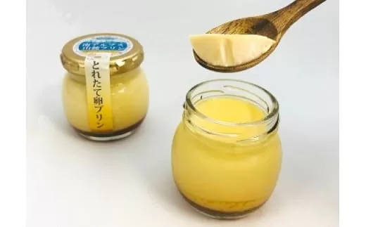 南アルプス山麓プリン（とれたて卵のプリン）８本セット　ぷりん プリン たまご 卵 鶏卵 お菓子 おやつ スイーツ 