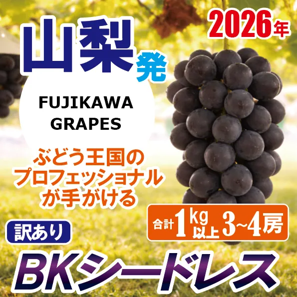 《訳あり》でも誇れる美味しさ　【BKシードレス】　1.0kg以上（3～4房）　【2026年発送分 先行予約】- FUJIKAWA GRAPES -　嬉しい満足感