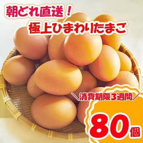 B1811極上ひまわりたまご（２段）※破卵補償10個含 卵 鶏卵 玉子