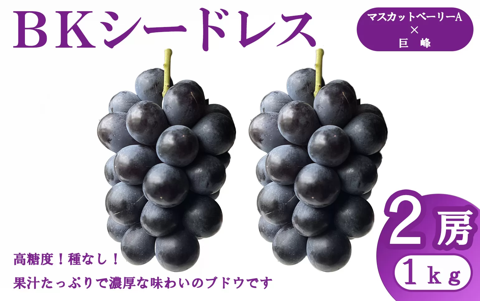 【2025年発送分先行予約】【FUJIKAWA GRAPE】BKシードレス（１ｋｇ・２～３房）　ブドウ ぶどう 葡萄 巨峰 マスカットベーリーA 高糖度 糖度高い くだもの 果物 フルーツ 山梨 やまなし 富士川町