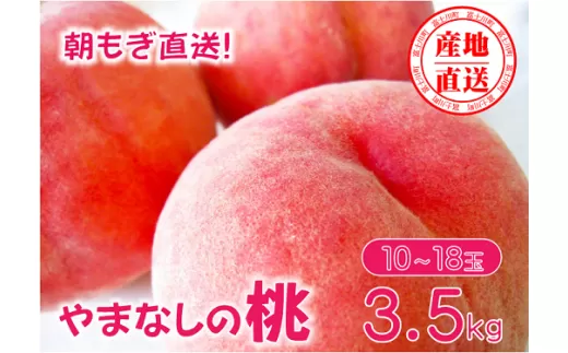 【先行予約】【2024年発送】矢崎さん家のもも 10～18玉 （約3.5kg） 桃 もも 山梨県産 フルーツ くだもの 果物 産地直送