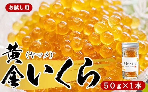 【お試し用】【幻の珍味】「黄金いくら」１本セット（ヤマメの卵醤油漬け） いくら イクラ 魚卵 小分け　数量限定 旬 人気 贈答 美味しい ヤマメ 鱒 冷凍 お取り寄せ