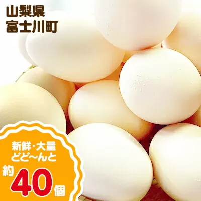 ひまわりたまご40個程度 ※破卵補償10個含  卵 鶏卵 玉子 大容量