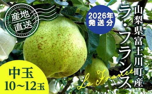 【2026年発送分 先行予約】 ラ・フランス 中玉 10-12玉 (3.5kg以上) ※2026年10月中旬以降発送予定　洋ナシ 洋梨 フルーツ 果物 富士川町