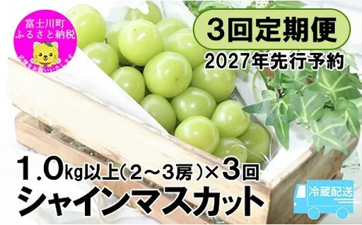 【2027年先行予約】【３回定期便】頬張る幸福感 ～緑の宝石・シャインマスカット～ 計３kg（1.0kg以上・2～3房を３回[9月上旬・中旬・下旬]お届け）※冷蔵発送※　シャイン シャインマスカット ぶどう 葡萄 ブドウ 定期便 ３回 果物 くだもの フルーツ 山梨 やまなし 富士川町 シャインだけ シャインマスカットだけ