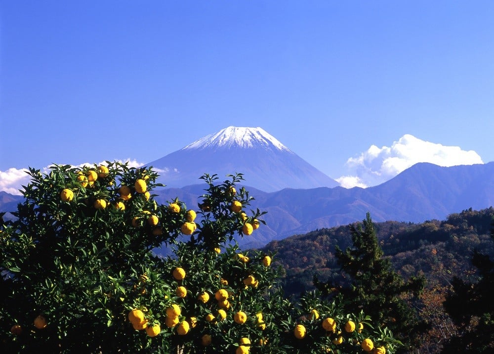 山梨県富士川町