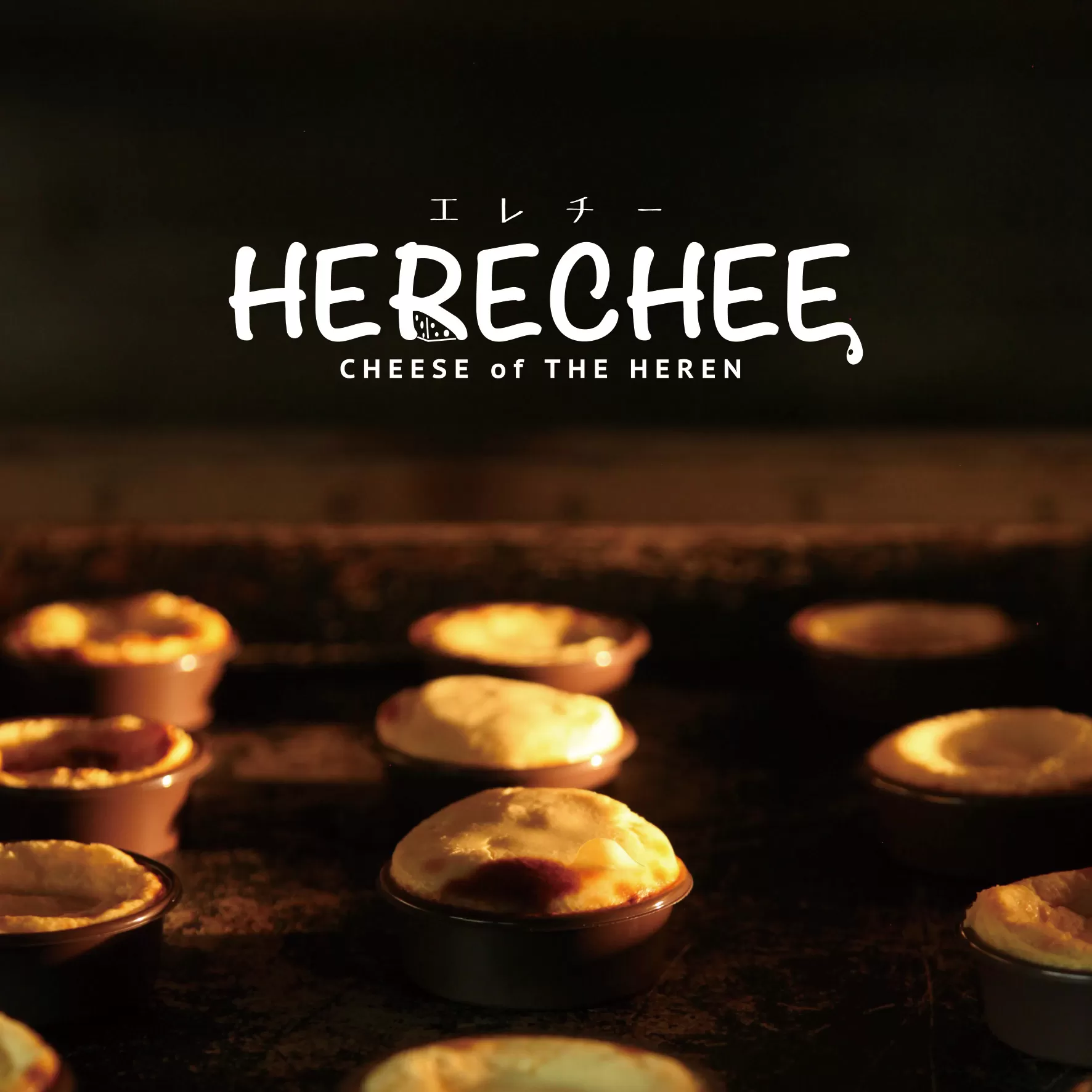 バスク風チーズケーキ　エレチー詰め合わせ SWAL011