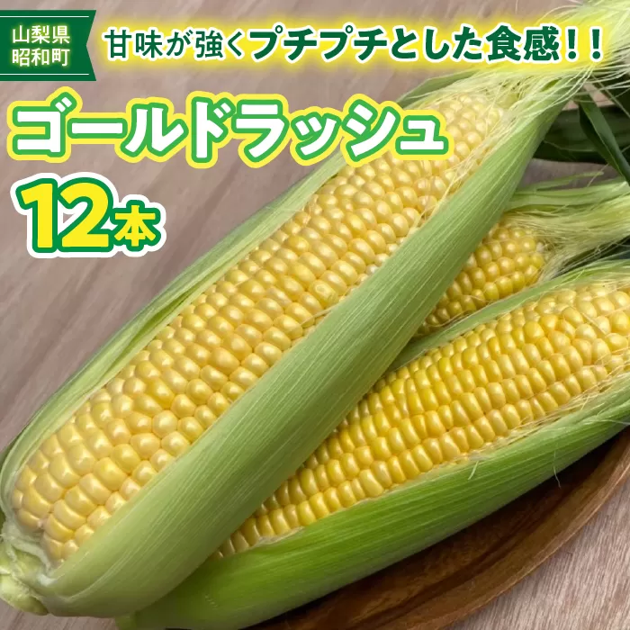 【令和7年度発送先行予約】昭和町ブランドとうもろこし「GOLDラッシュ」 SWBN002