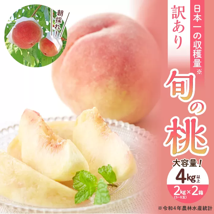 【2024年発送 訳あり】大容量!山梨県産 旬の桃4kg以上(2kgx2箱)ふるさと納税 先行予約 SWAB005