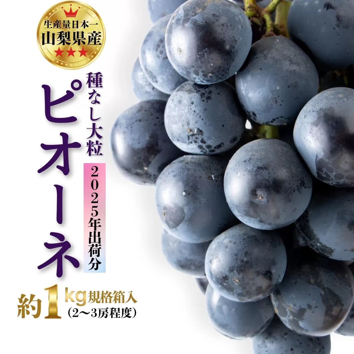【先行予約】大粒！種なしピオーネ ２～３房（約1kg規格箱入り）／ ぶどう 先行予約 産地直送 フルーツ 果物 くだもの 甘い 旬 新鮮 ジューシー 種無しぶどう　種なしぶどう  山梨 やまなし 【n0579_apx_A】