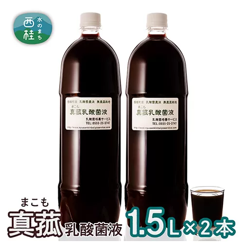 No.103 真菰（まこも）乳酸菌液　1.5L×2本
