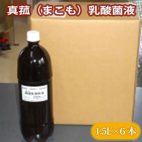 No.228 真菰（まこも）乳酸菌液　1.5L×6本