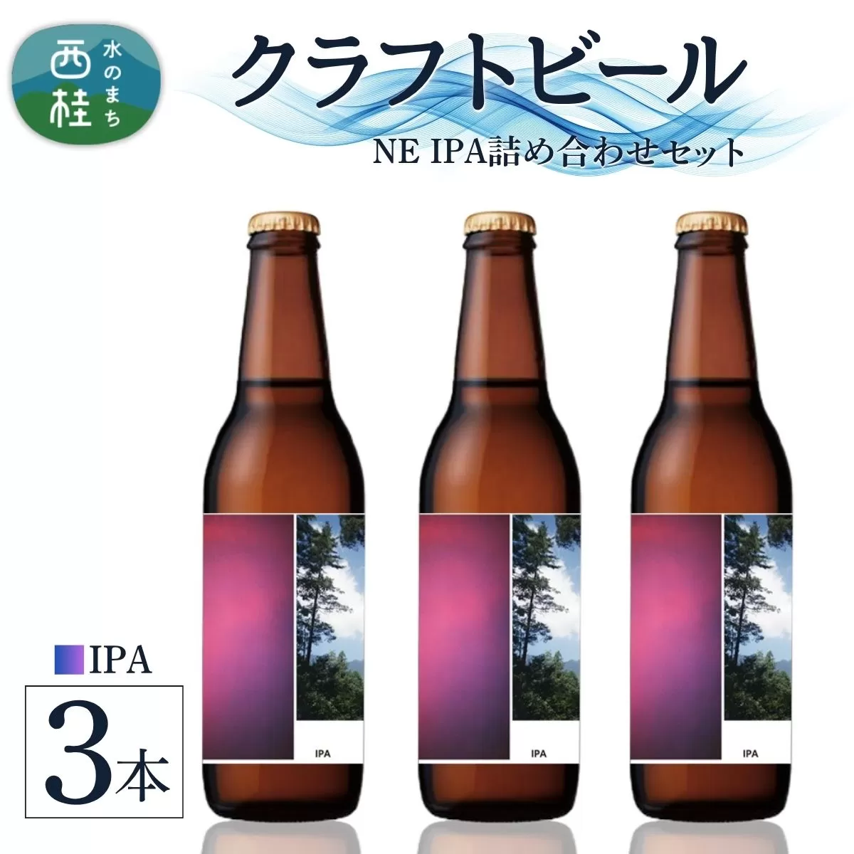クラフトビール IPA 3本 セット / 瓶ビール ビール 地ビール エール 詰め合わせ 飲み比べ 家飲み おすすめ 人気 天然水 ギフト 贈り物 父の日 お歳暮 送料無料【n0658-03_tpm】