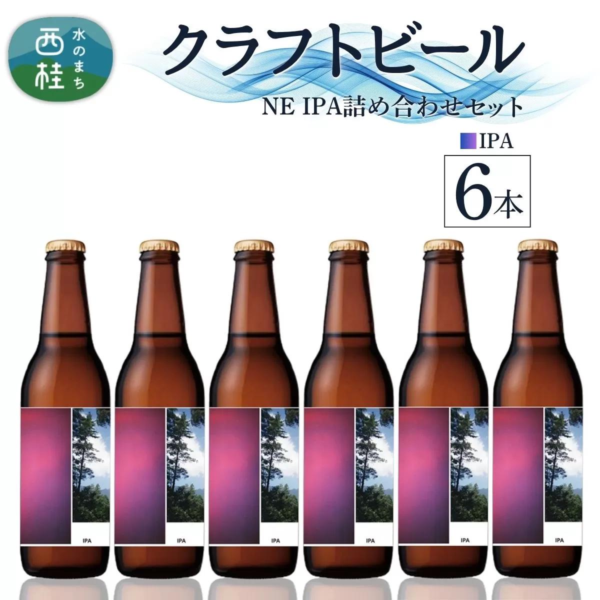 クラフトビール IPA 6本 セット / 瓶ビール ビール 地ビール エール 詰め合わせ 飲み比べ 家飲み おすすめ 人気 天然水 ギフト 贈り物 父の日 お歳暮 送料無料【n0658-06_tpm】