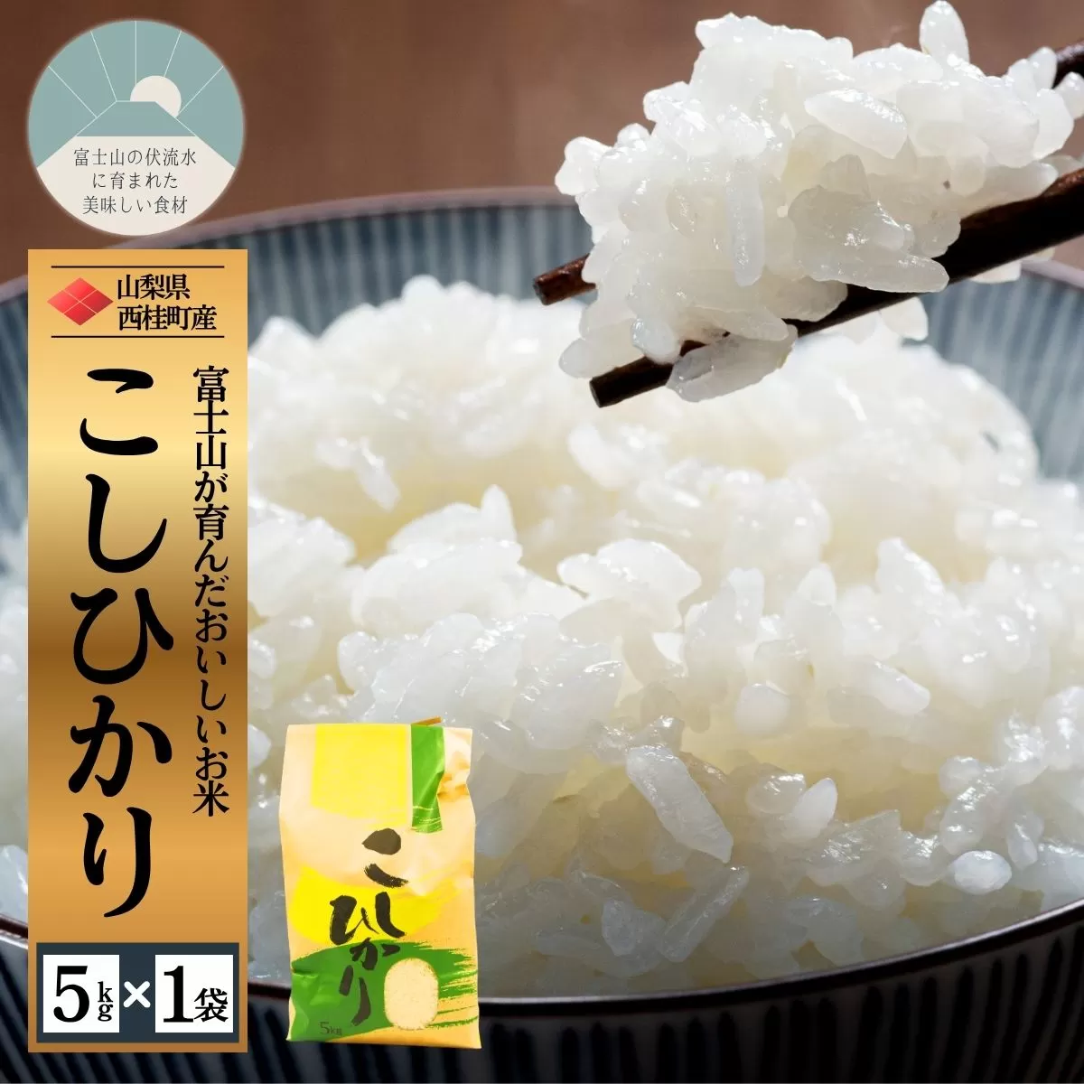 コシヒカリ 5キロ 1袋 / 国産 こしひかり  5キロ 令和7年 新米 米 お米 保存袋 生活必需品 ギフト 贈り物 お歳暮 ふるさと納税 送料無料【n0663-05_gou】