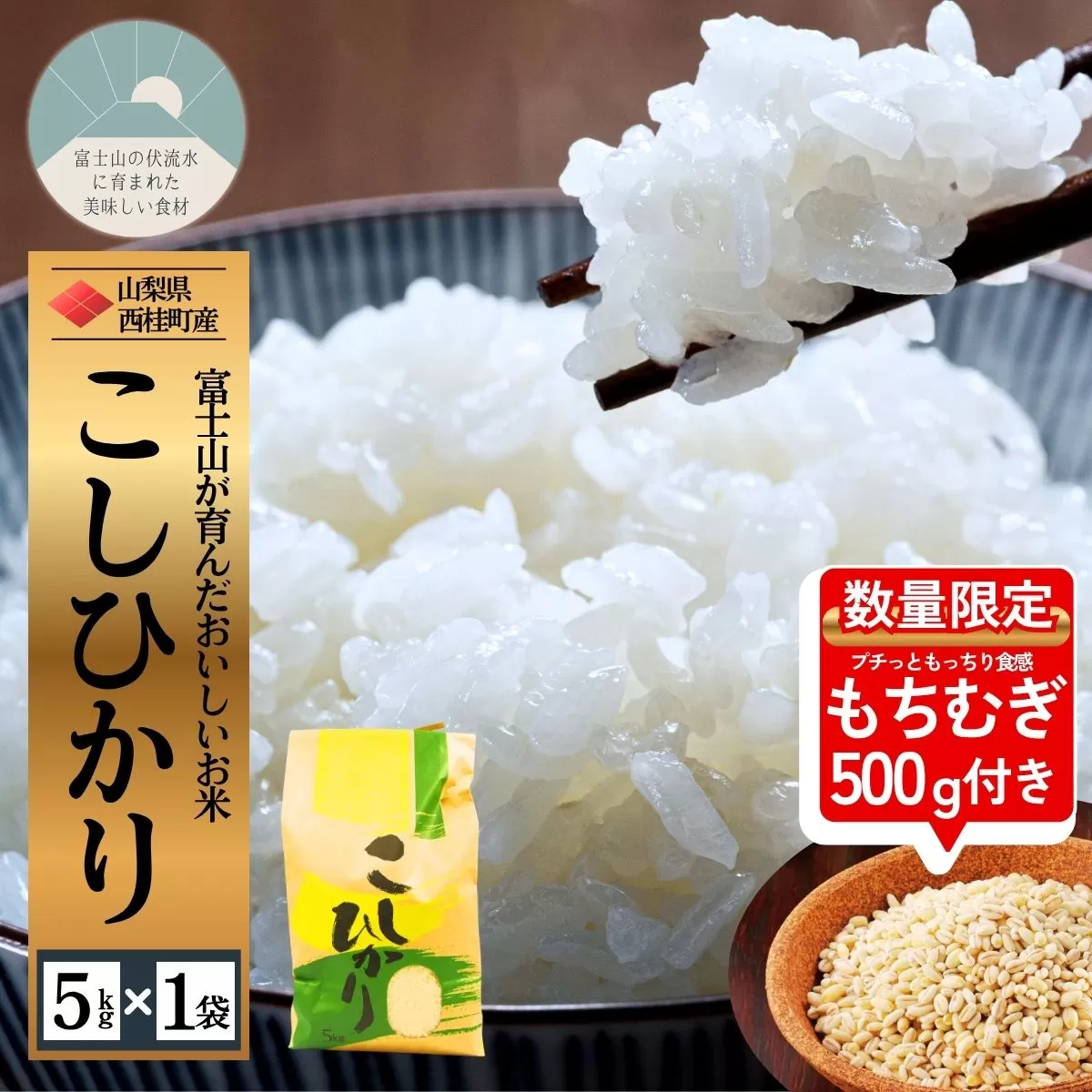 コシヒカリ 今だけ数量限定でもち麦500g付き！ 5キロ 1袋 / 国産 こしひかり  5キロ 令和7年 新米 米 お米 保存袋 生活必需品 ギフト 贈り物 お歳暮 ふるさと納税 送料無料【n0663-05_gou】